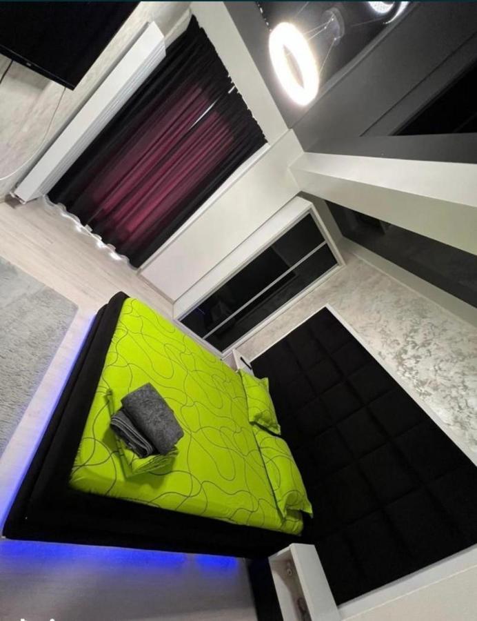 Apartment Apartament David Mamaia Nord Navodari
